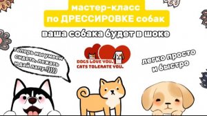 МАСТЕР-КЛАСС по дрессировке собак, легко и просто, 3 команды за 2 минуты!))❤️🔥