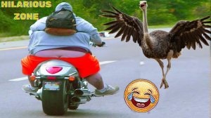 Жизнь смешных и жизнерадостных людей 😆  ПОПРОБУЙ НЕ РАССМЕЯТЬСЯ 😂😁😆 Мгновенное сожаление