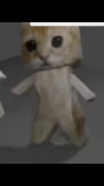 кот Эль Гато танцует #кот #мем смотреть онлайн