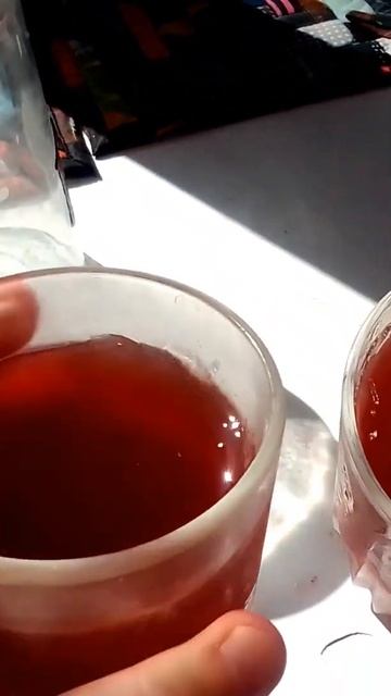 Сегодня с младшей сестрой ели гранатовое желе☀️🌳 #л? смотреть онлайн