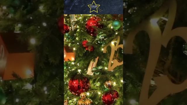 Рождественская ёлка в Белом доме США смотреть онлайн