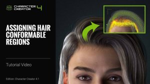Урок по работе с Smart Hair в Character Creator 4 — Назначение регионов соответствия для волос
