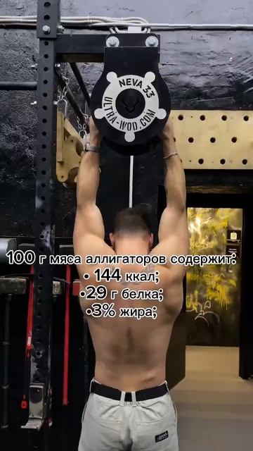 А сколько у вас белка в день ? #edit #спорт #blud #motivation #спор? смотреть онлайн