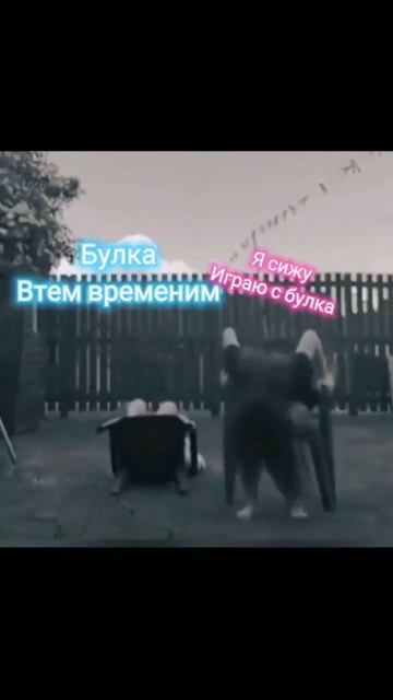 там где булка там должно написана быть когда её далкну смотреть онлайн