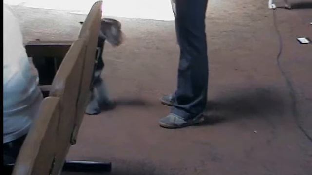 4.2 15-19 мая 2010 одесса.wmv смотреть онлайн