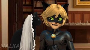 🐞 СВАДЬБА - ЛЕДИ БАГ И СУПЕР КОТ ПРИКОЛ №22: Miraculous