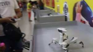 Выставка роботов в Мелитополе