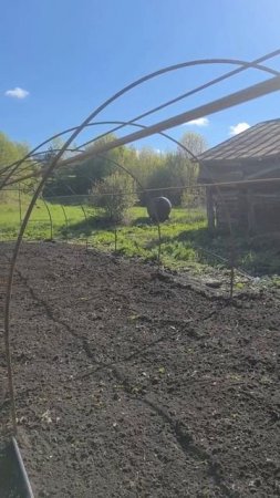 Теплица своими руками, май, деревня