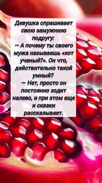 Кот учёный #1122 #анекдот #юмор # приколы смотреть онлайн