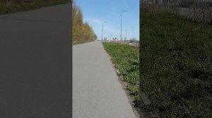 Погода в Санкт-Петербурге в Красносельском  районе 9 мая 2025 у Финского залива