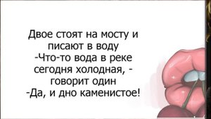 Как Устроены Женские Половые Органы? Лучшие Смешные А?