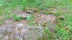 Мудрец Гродт (явь). Предназначение — движение тела человека. Все системы человека, связанные с движе