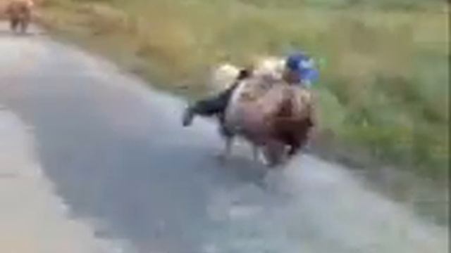 Кавказские гонки смотреть онлайн