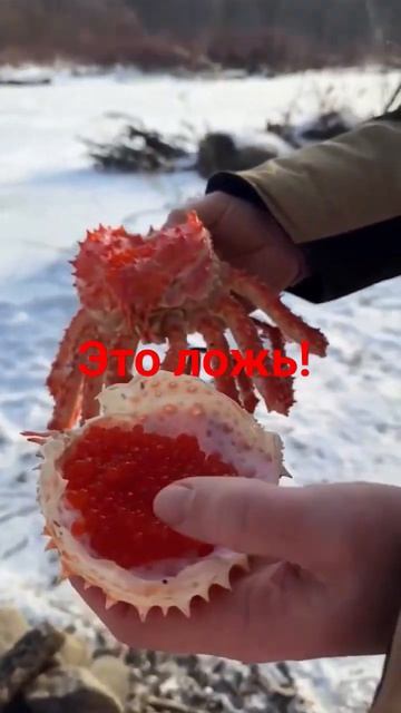 какую чушь и ложь! а потом у нас дети говорят что краб в смотреть онлайн