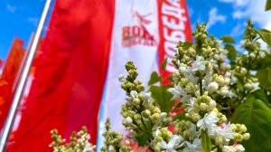 С Днем Победы!