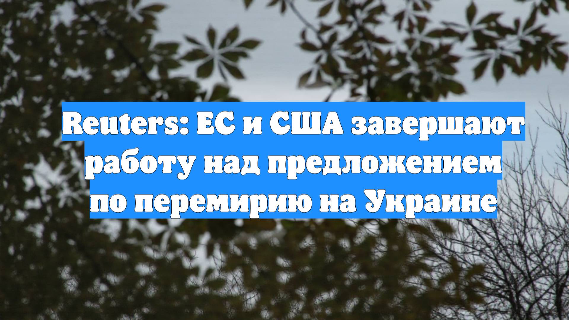 Reuters: ЕС и США завершают работу над предложением по перемирию на Украине