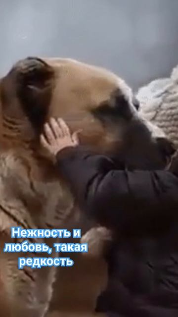 сейчас есть Всё , зимой и летом мандарины 🍊,но нету не? смотреть онлайн