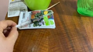 Как избавиться от паутинного клеща на орхидеях с помо?