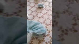 Шитье для кукол