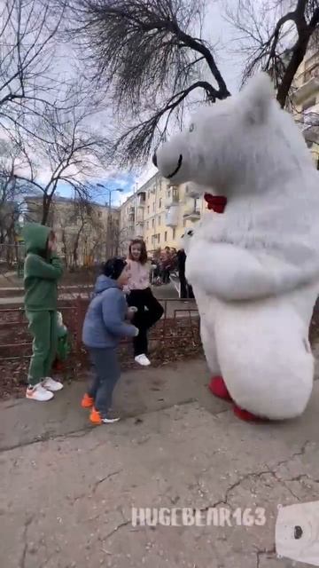 Погудим с Мишаней! 🤩 #белыймедведь #белыймишка #деньр? смотреть онлайн