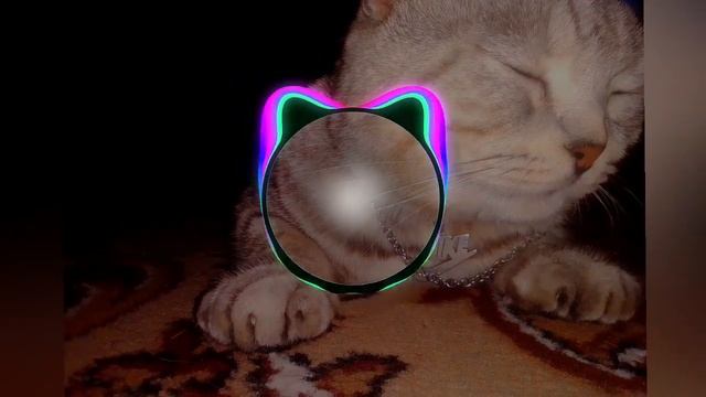 дора дура+астрал степ смотреть онлайн