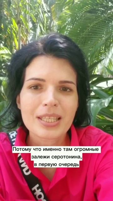 Формула Счастья. Компонент №2. смотреть онлайн