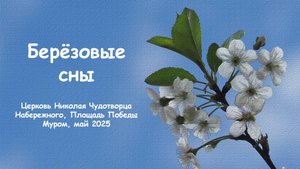 "Берёзовые сны", Церковь Николая Чудотворца Набережного, Площадь Победы, Муром, Май 2025