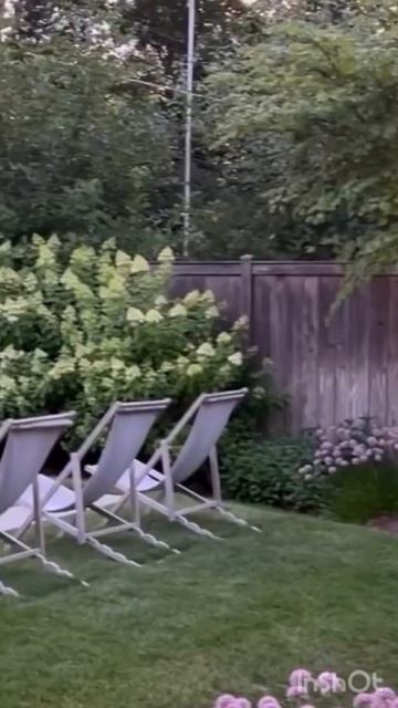 #limelight #hydrangea #hortensia #садгортензий #hydrangeaflower #гортензия#gar смотреть онлайн