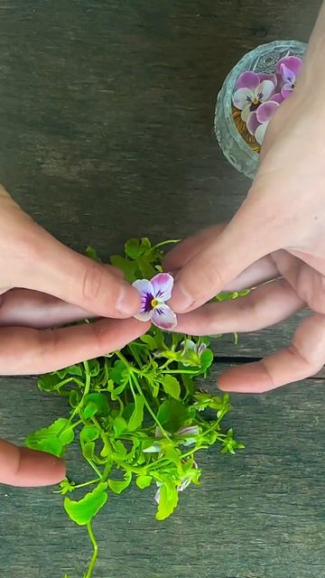 Сухоцветы из анютиных глазок 🌺 #jewelry #garden #handmade смотреть онлайн