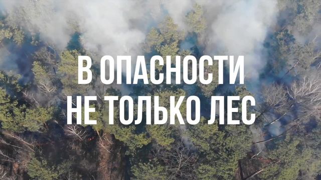 Видеоролик федеральной информационной противопожарной кампании "Останови огонь" 2020 год смотреть онлайн