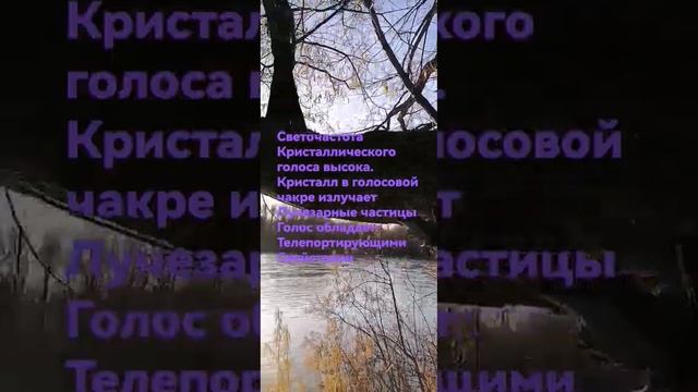 Отрывок из песни третьего альбома, который готовлю. Пе