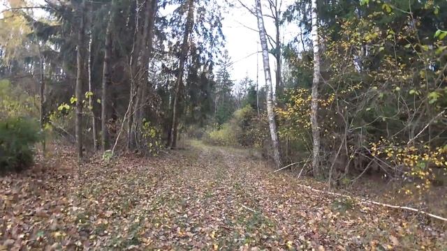 В осеннем лесу...7 смотреть онлайн