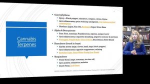 Terpenes in Cannabis and Essential Oils _ Mental Health Benefits