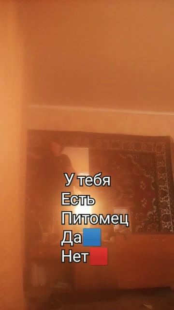 🟦🟦🟦🥳🥳🥳😎 да у меня есть собака и два кота смотреть онлайн