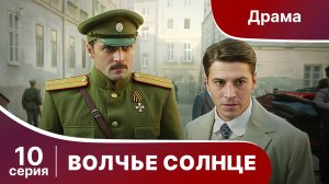 Волчье Солнце. Серия 10. Военный шпионский боевик. Сериал.