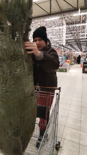 Ёлка 2024 - 25 (Как мы елку покупали) смотреть онлайн