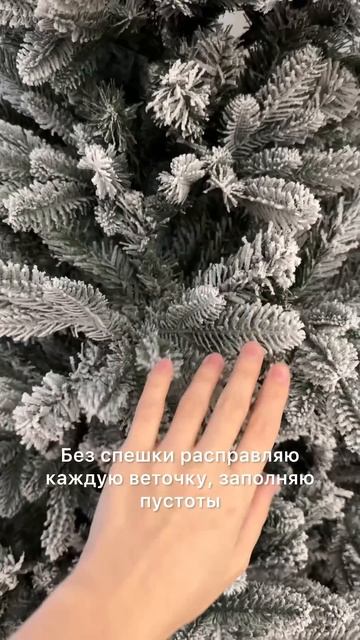 А когда вы ставите елку? #shorts #новыйгод #елка #новогодне смотреть онлайн