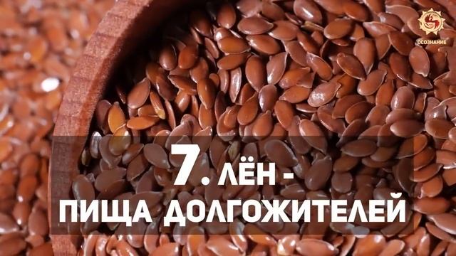 Ролик №49. Растение которое мы незаслуженно забыли 🌱 10 причин почему на Руси носили только Лён смотреть онлайн