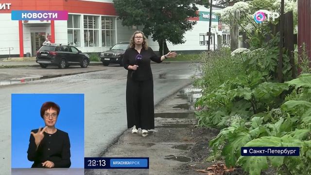 Гербициды и лопаты — как борются с борщевиком в Сибир? смотреть онлайн