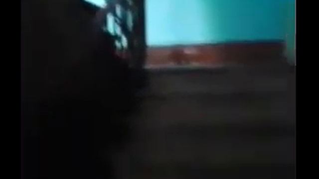 Паранормальный дом 2015 ( Паранормальное Явление 6 )
