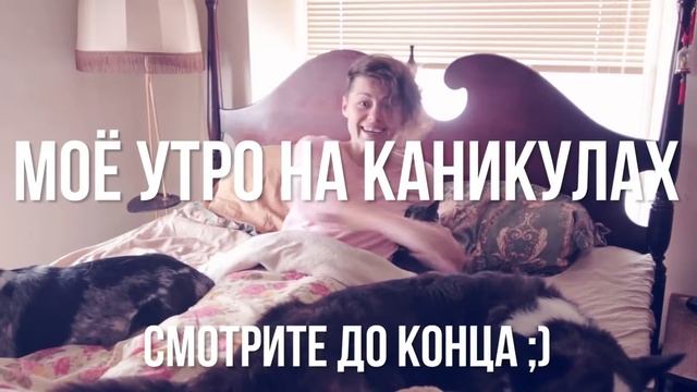 МОЁ УТРО НА КАНИКУЛАХ МНОГО СОБАК КОТИКИ ЩЕНОЧКИ И ЗИМА #shorts