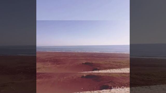 Грузинское тёплое море 🌊 смотреть онлайн