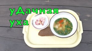 Жизнь на даче. Наловил окуней, сварил уху.