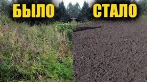 🚫🌱 Эффективные методы борьбы с сорняками – быстро и надолго!