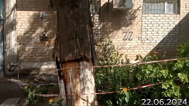 #Волгоград  Последствия урагана «Эдгар» Красноармейс?