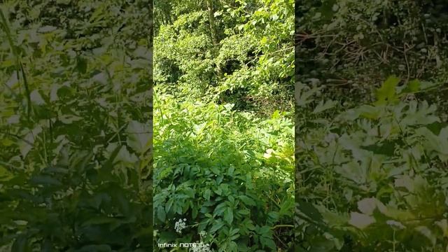 22 июня 2024 г. смотреть онлайн