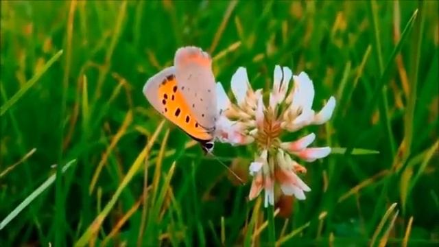 КАК НЕ ЗАЦИКЛИВАТЬСЯ НА ПРОШЛОМ? 7 практик, как не осуждать себя за прошлую жизнь смотреть онлайн