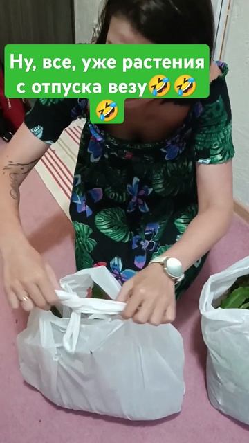 Растения с юга. смогут ли расти в нашем климате? ну, про смотреть онлайн