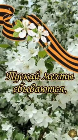 ДОРОГИЕ ДРУЗЬЯ!  ВСЕХ С ПРАЗНИКОМ ДНЕМ ВЕЛИКОЙ ПОБЕДЫ 9МАЯ!!!💐