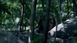 Добыча (2019)